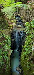 Keliki Villa Ubud Bali